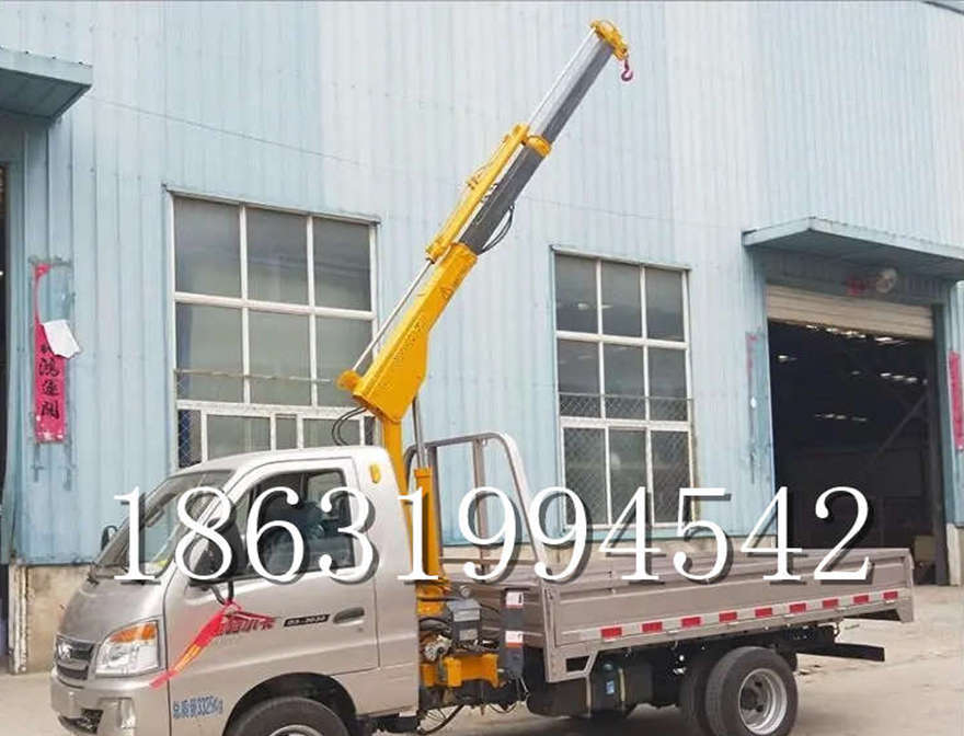 万源市车载吊机小吊机220V220v移动吊机车载吊机移动起重机小吊机220V包安装包安装